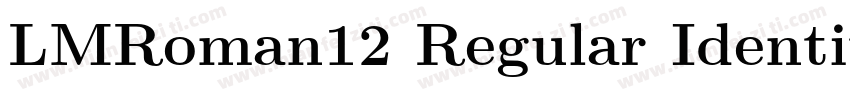 LMRoman12 Regular Identity H字体转换